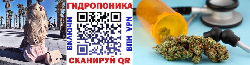 Шишки марихуана сатива  Болхов 